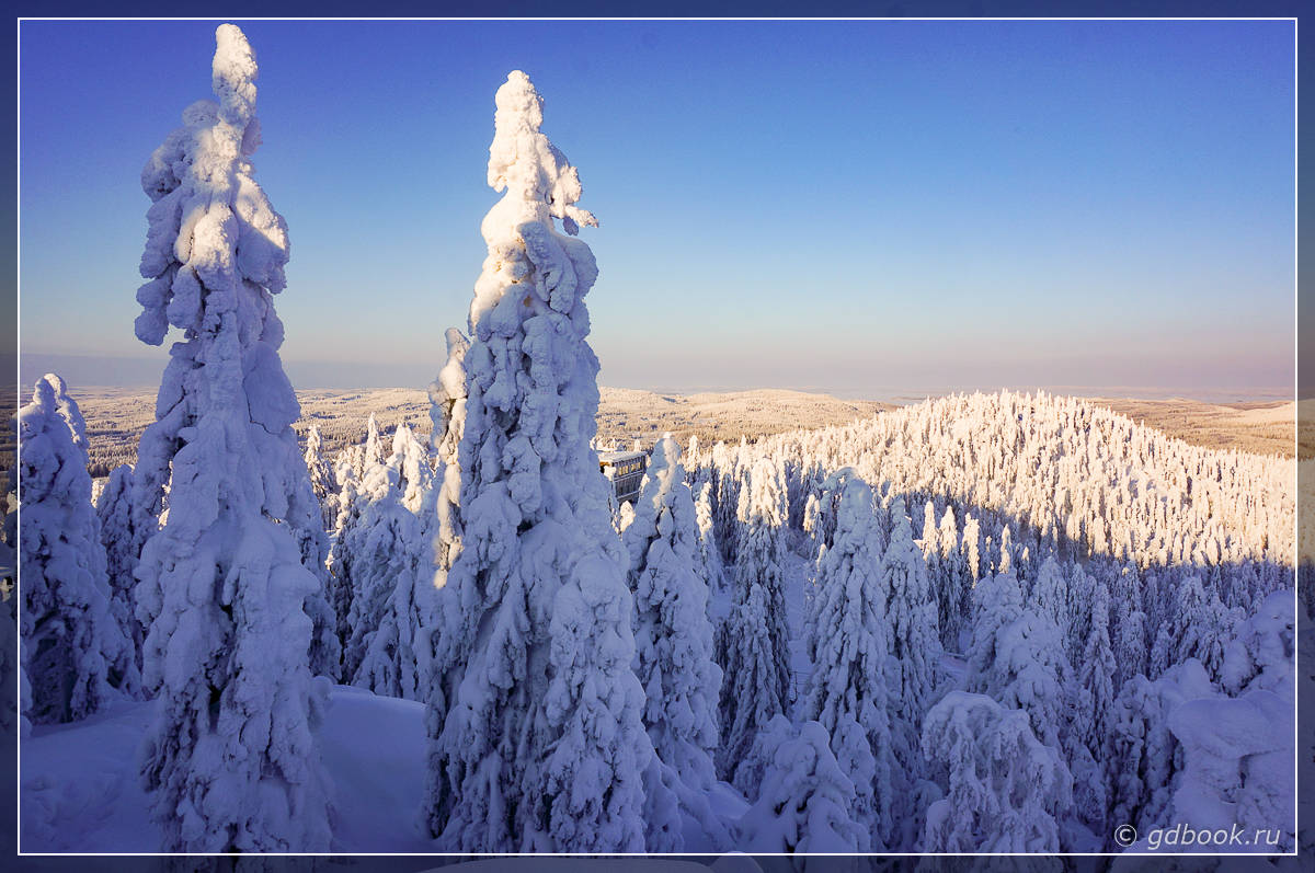 Пейзаж Коли
