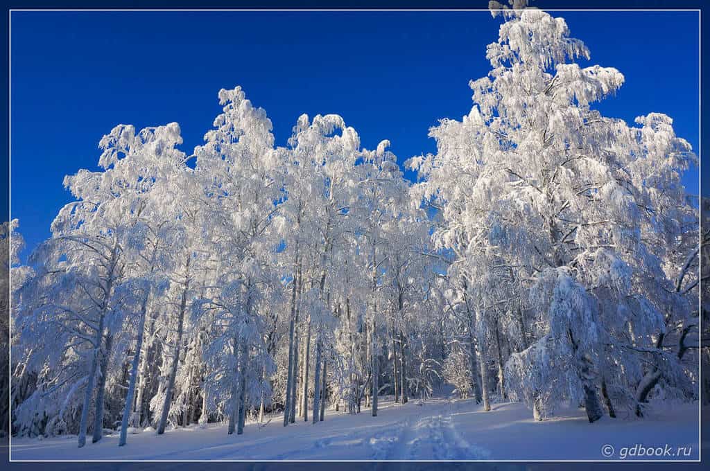 Национальный парк Коли