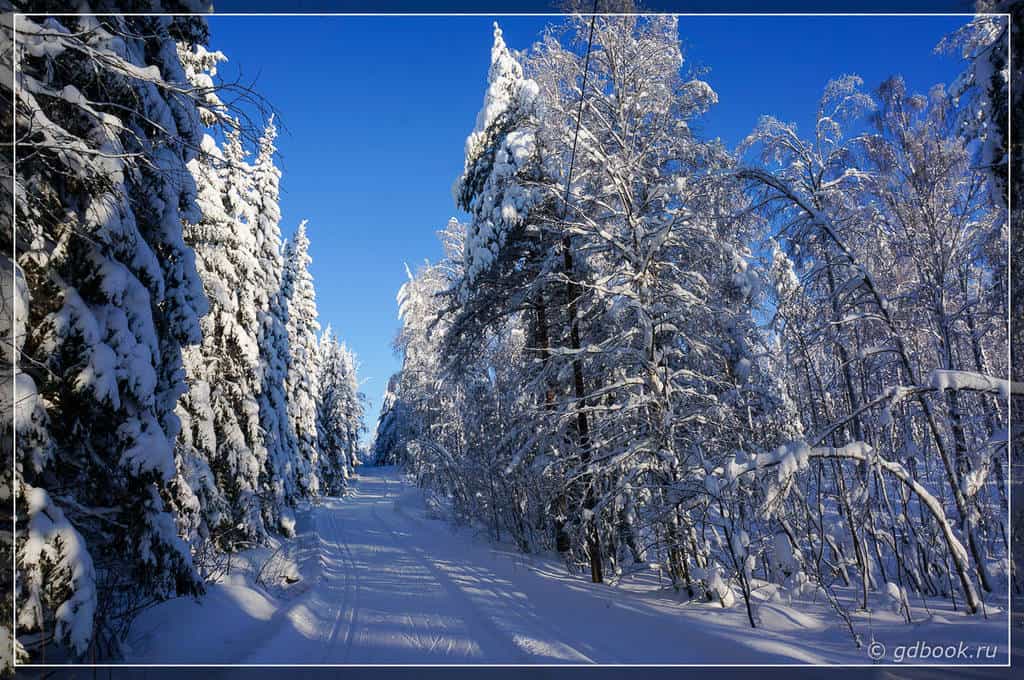 Биатлонная трасса в Контиолахти