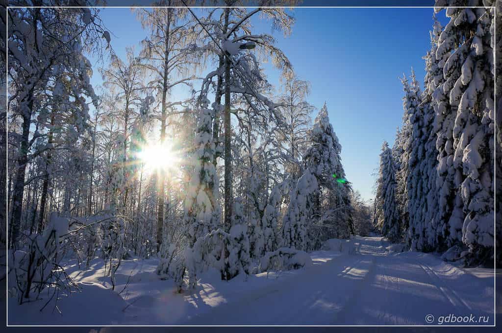 Биатлонная трасса в Контиолахти