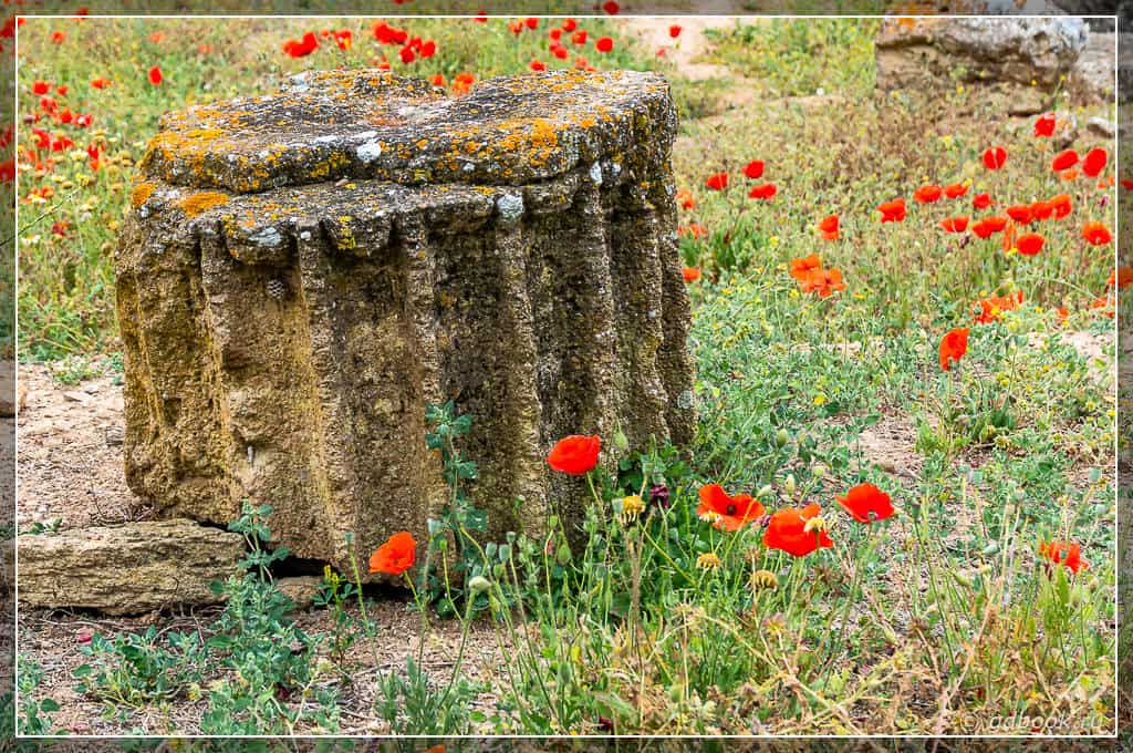 Алькудия, Майорка