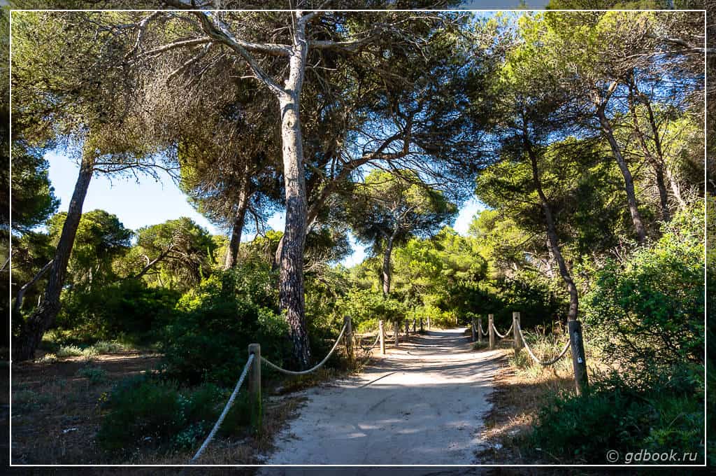 Алькудия, Майорка