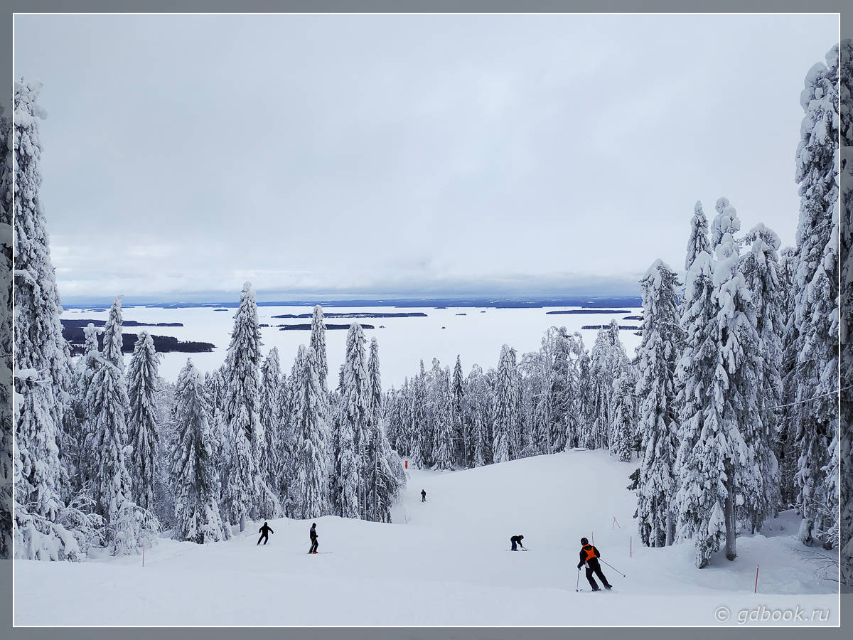 Горные лыжи в Коли