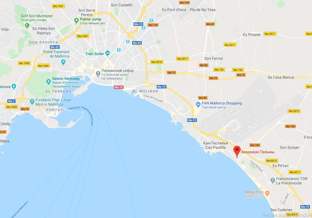 Океанариум Palma Aquarium