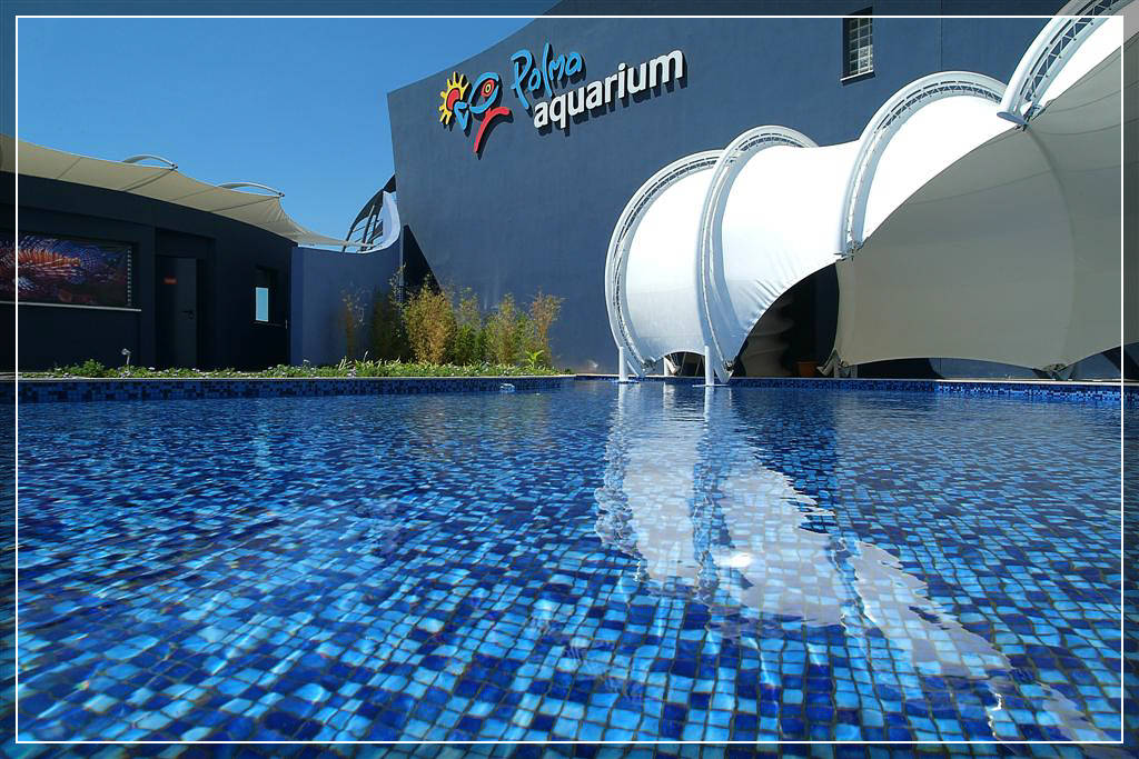 Океанариум Palma Aquarium