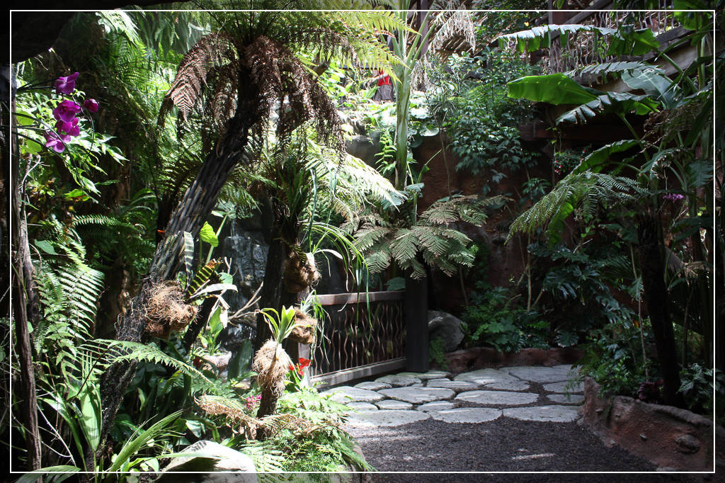 Океанариум Palma Aquarium