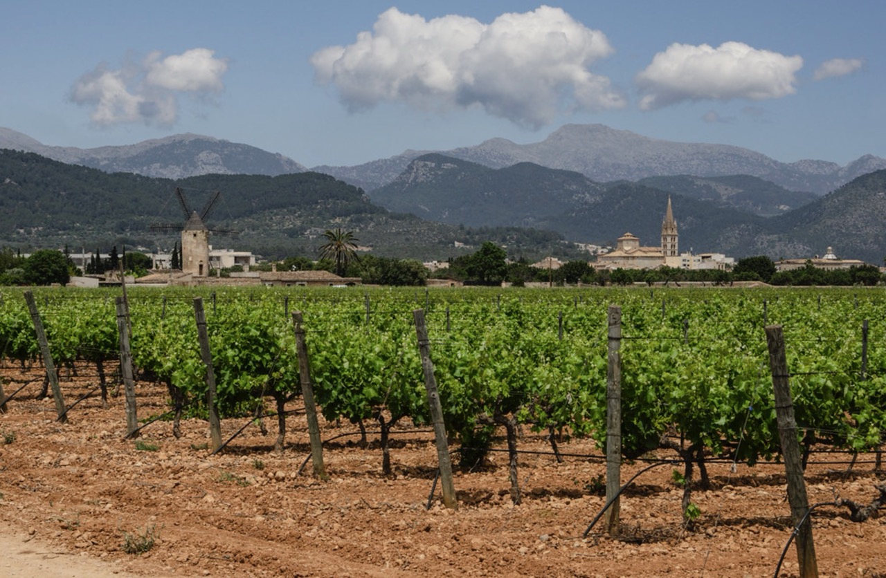 Бениссалем, Майорка